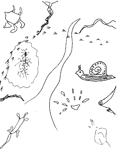 Drawing of Landscape